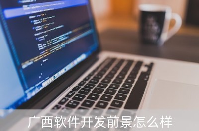 廣西軟件開發前景與軟件工程專業大學排名分析